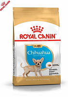 Сухой корм для щенков Royal Canin Chihuahua Puppy породы чихуахуа в возрасте от 2 до 8 месяцев, 1.5 кг