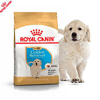 Сухой корм Royal Canin Golden Retriever Puppy - для щенков голден ретривера до 15 мес., 12 кг (39791201)