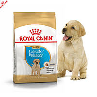 Сухой корм Royal Canin Labrador Retriever Puppy - корм для щенков лабрадор ретривера до 15 мес., 12 кг