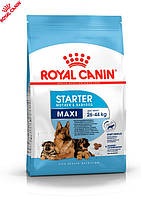 Сухой корм Royal Canin Maxi Starter - жесткий корм для щенков больших пород, 15 кг (2994150)