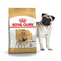 Сухой корм Royal Canin Pug Adult - сухой корм для мопсов от 10 мес., 1.5 кг (3985015)