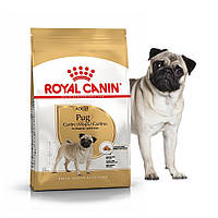 Сухой корм Royal Canin Pug Adult - сухой корм для мопсов от 10 мес., 3 кг (3985030)