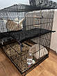 Клітка для гризунів 3-рівнева для тхорів, шиншил, щурів, хом'яків, дегу, морських свинок, фото 6