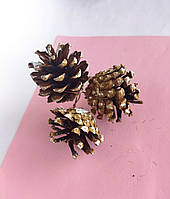 Шишка на дроті 3 шт