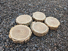 Дерев'яні зрізи дерева, калібровані, шліфовані з двох сторін d 8-9см. 5шт., фото 3