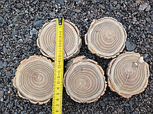 Дерев'яні зрізи дерева, калібровані, шліфовані з двох сторін d 8-9см. 5шт., фото 2
