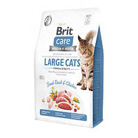 Сухой корм Brit Care Cat GF Large Power & Vitality для кошек больших пород, утка и курица, 2 кг