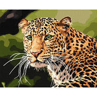 Антистресс картина по номерам Ідейка Зеленоокий лепард 40 на 50 см Art32792