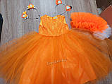 Красивий одяг Лисички помаранчеве плаття Лисичка Білочка Мандаринка Апельсинка Осінь, фото 8