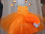 Красивий одяг Лисички помаранчеве плаття Лисичка Білочка Мандаринка Апельсинка Осінь, фото 5