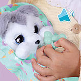 Інтерактивна іграшка baby paws — цуценя хаскі флоуї (з аксес.), фото 6