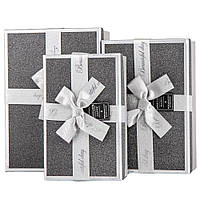 Набір з 3 коробок "Зірковий дарунок", срібний