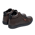 Чоловічі зимові шкіряні кросівки Brown Classic, фото 4