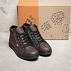 Чоловічі зимові шкіряні кросівки Brown Classic, фото 5