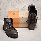 Чоловічі зимові шкіряні кросівки Brown Classic, фото 7