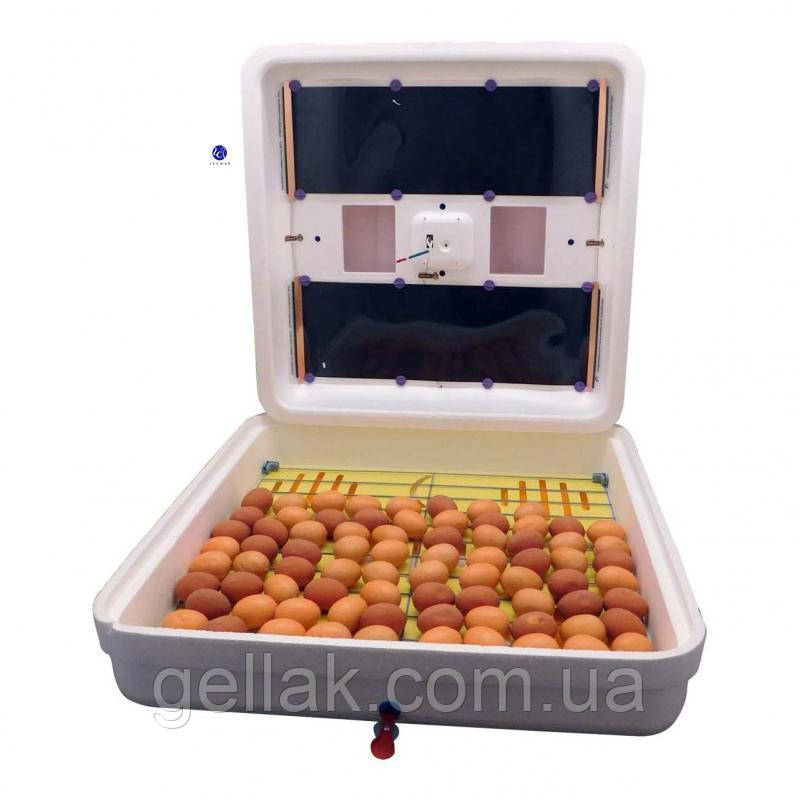 Інкубатор Жаба smart pluse 130 яєць автоматичний переворот (цифровий із вентилятором)