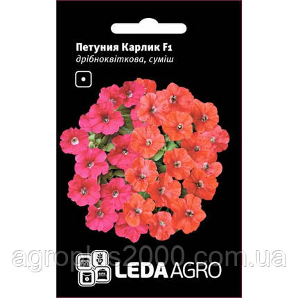 Насіння Петунія Карлик F1 Суміш 10 насінин Cerny Seed Leda Agro, фото 1