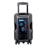 Колонка акумуляторна з радіомікрофонами TMG ORIGINAL Temeisheng A-1212 (Bluetooth/USB/SD), фото 3