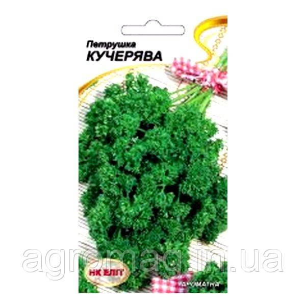 Петрушка Кучерява 2г
