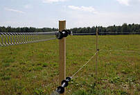 Електропастухи