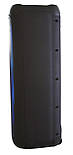 Колонка акумуляторна Partybox Temeisheng Feiyang з радіомікрофонами (400W/USB/BT/FM/TWS), фото 6