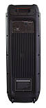 Колонка акумуляторна Partybox Temeisheng Feiyang з радіомікрофонами (400W/USB/BT/FM/TWS), фото 7