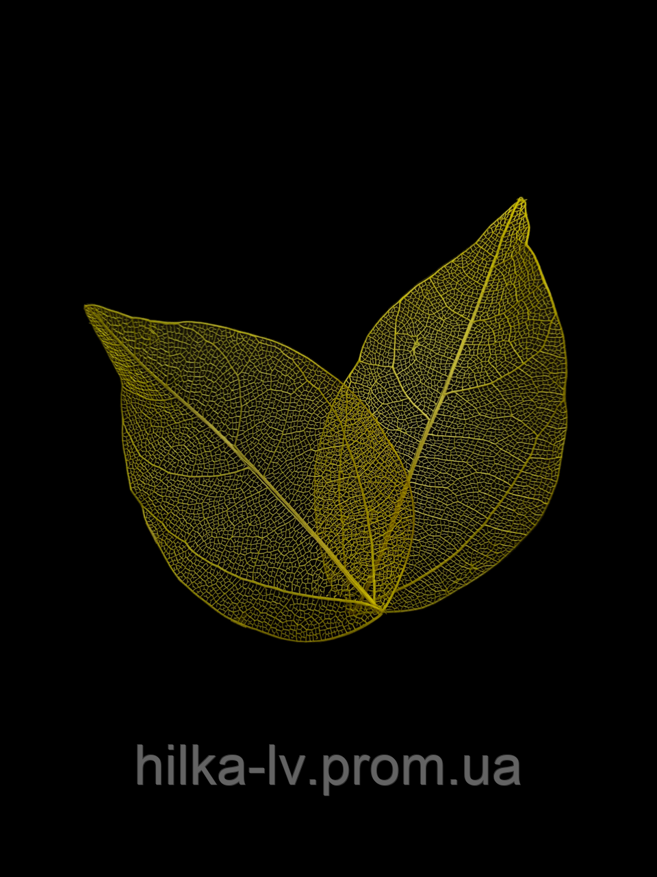 Скелетированные листья желтые 30 шт (5-7см) (ID#1981016270), цена: 95 ...
