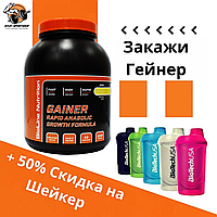 Гейнер углеводно-белковый TM Bioline = для быстрого Набора массы (3 кг/ черный шоколад) + Шейкер 50% скидка !