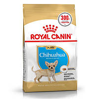 АКЦИЯ!! Royal Canin Puppy Chihuahua сухой корм для щенков породы чихуахуа 1,2 кг + 300 г в ПОДАРОК