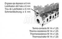 Головка блока цилиндров Renault:Clio ,Kangoo ,Megane ,Scenic ,Trafic (908098 AMC)