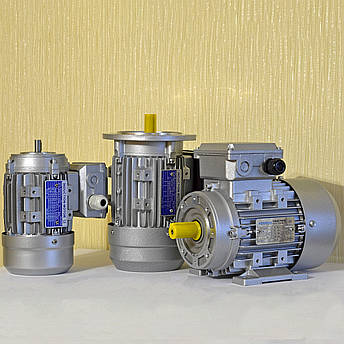 Електродвигун трьохфазний MS 100L1-2 3.0 кВт 2800 об/хв 380В