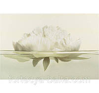 Керамическая плитка Opoczno Flora Pion декор 45x30 см цена за 1 шт