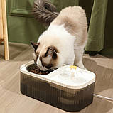 Поїлка фонтан для кішок автоматична з годівницею Автопоїлка подвійна для тварин біла, фото 3
