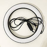 Кільцеве світло 26 см, Освітлення для блогера, Якісна кільцева лампа для блогу Лампа тиктокерів MH-25, фото 9