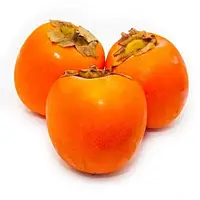 Хурма Персимон (щеплена, солодка)