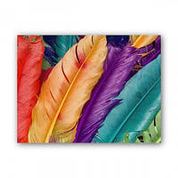 Картина Malevich Store Цветные перья 75x100 см (P0474)