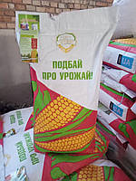 Насіння кукурудзи ДН Меотида ФАО — 190, фото 3