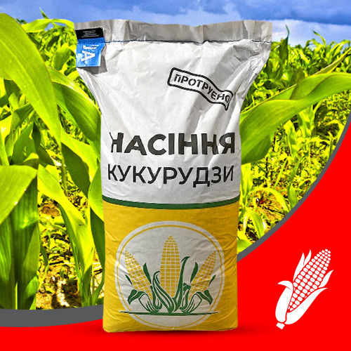 Насіння кукурудзи СТ Лука ФАО — 280