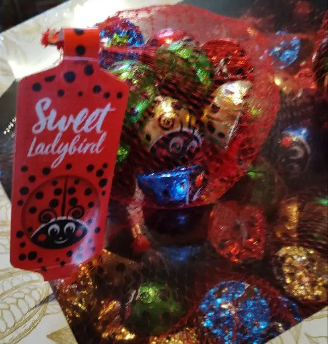 Цукерки Шоколадні Biedronki Sweet Ladybird Сонечка 16*100 г Ящик Польща