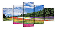 Модульная картина из пяти частей KIL Art Пейзаж цветочное поле и еловый лес с облачным небом 162x80 см