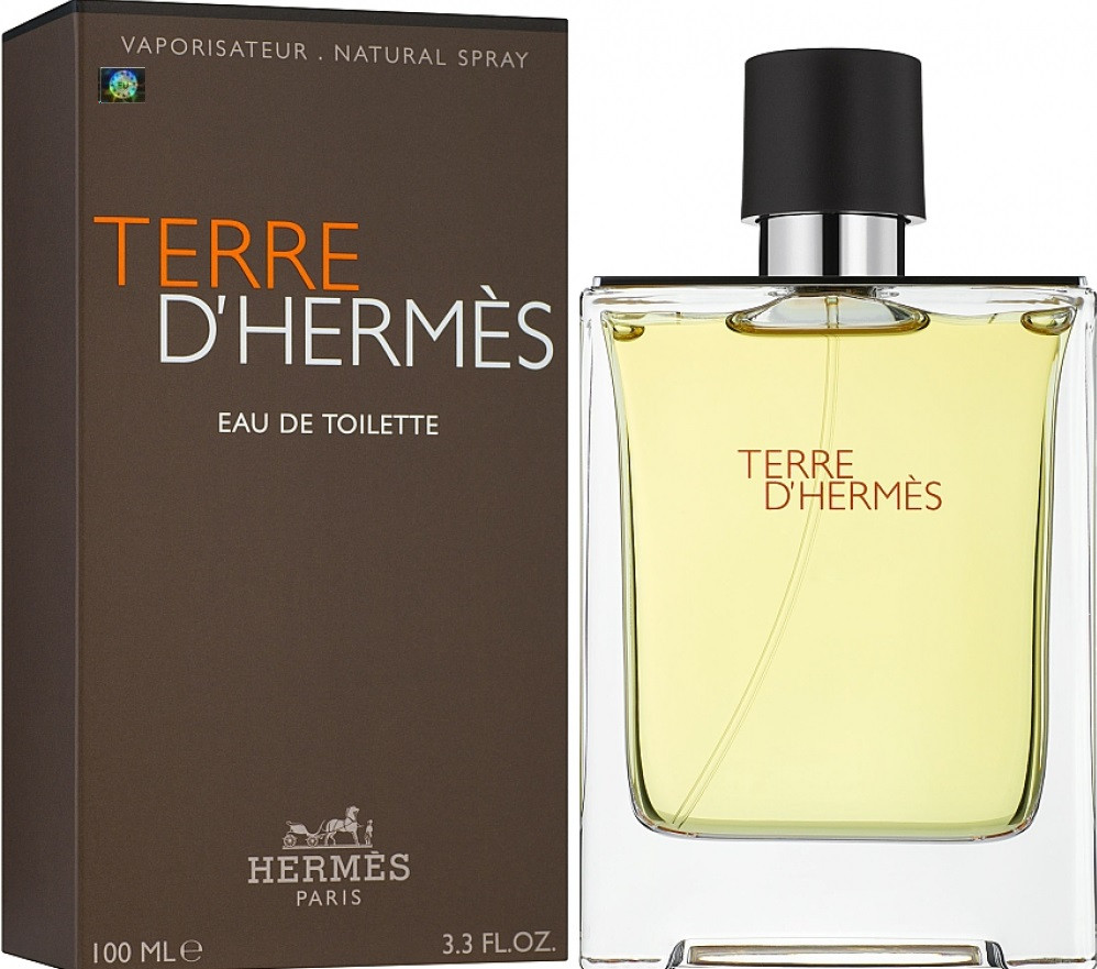 Туалетная вода мужская Hermes Terre dHermes 100 мл (Euro A-Plus) - фото 1 - id-p2039309080