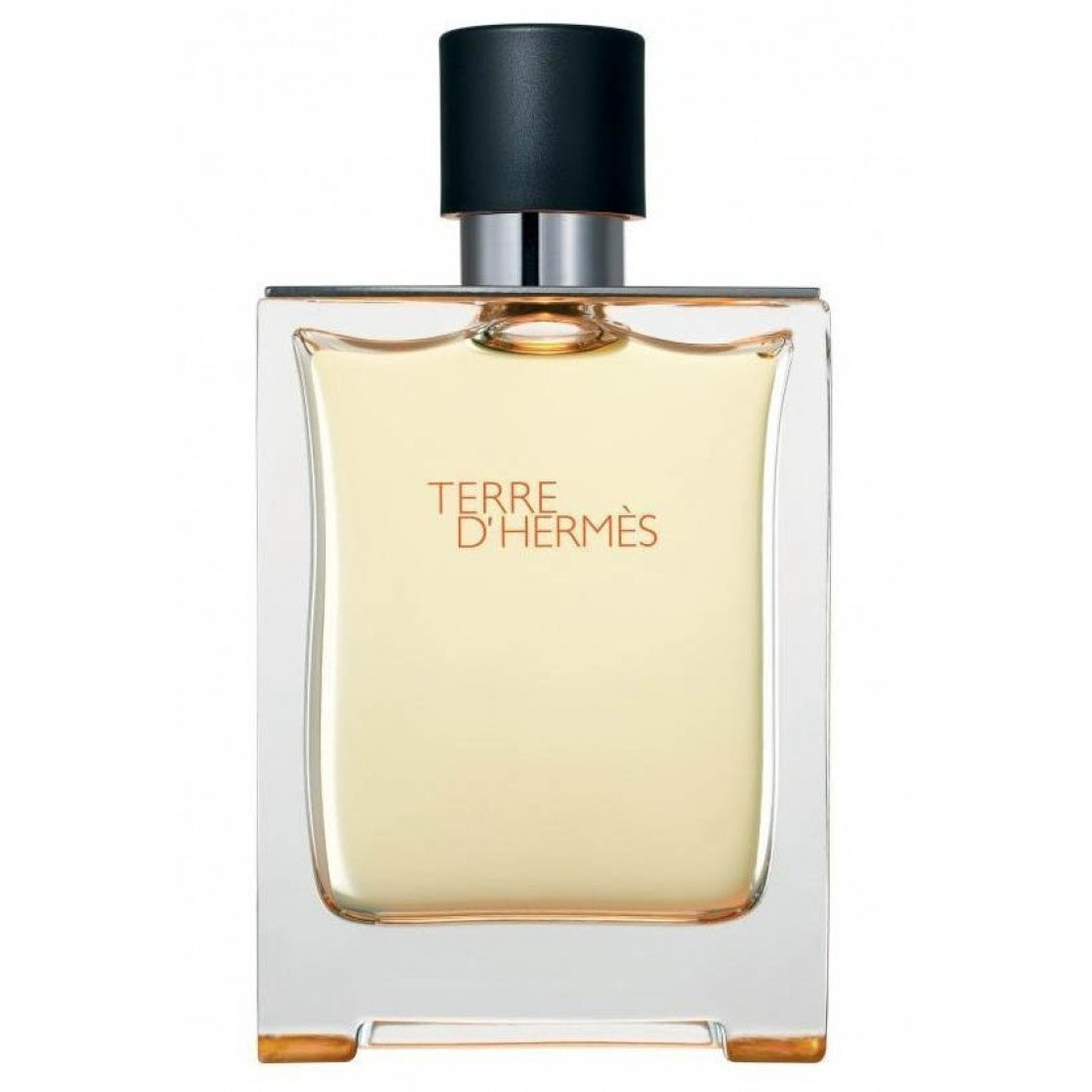 Туалетная вода мужская Hermes Terre dHermes 100 мл (Euro A-Plus) - фото 2 - id-p2039309080