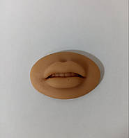 Тренувальна силіконова 4D модель тату-манекена губ