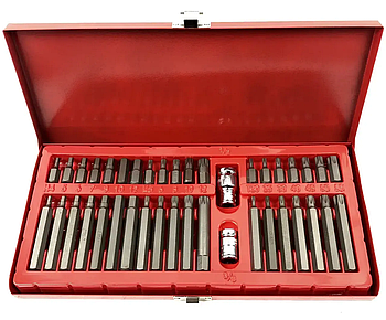 Набір спеціальних біт REDFOX 40 шт. (RFBS41M)