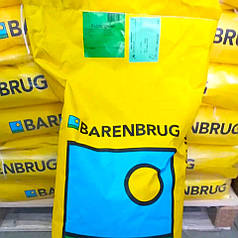 Насіння газону Public green Barenbrug, 15 кг