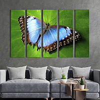 Модульная картина из 5 частей на холсте KIL Art Редкая тропическая бабочка 132x80 см (132-51)