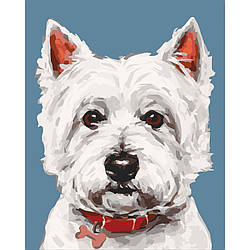 КАРТИНА ЗА НОМЕРАМИ "ВАЙТ ТЕР'ЄР" 11652-AC 40Х50 СМ