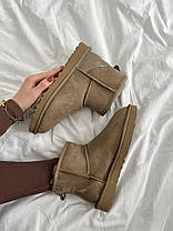 Зимові Жіночі Черевики UGG Mini Brown Metallic Suede / УГГ Міні Металік Суейд Коричневі, фото 2