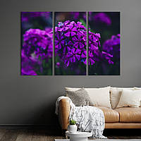 Модульная картина на холсте из 3 частей KIL Art триптих Фиолетовые цветы флоксы 128x81 см (897-31)