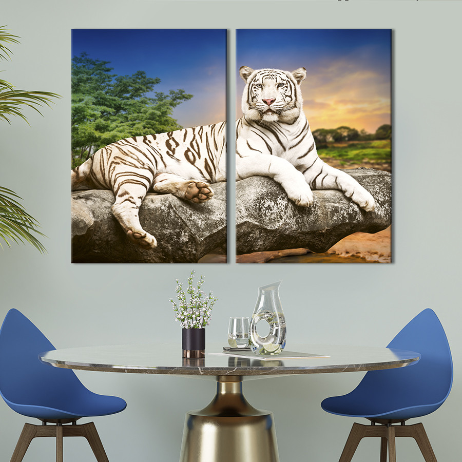 Модульна картина з двох частин KIL Art Білий тигр з темно-коричневими смужками лежить на камені 165x122 см